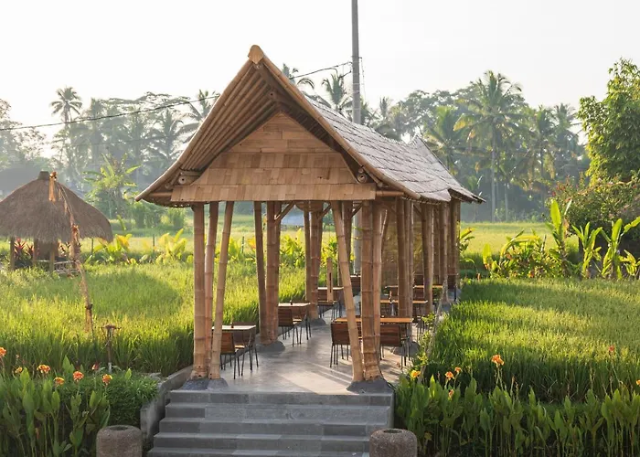 Resort The Sun Of Granary And
