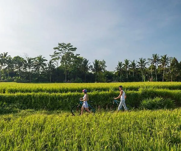 Resort The Sun Of Granary And Ubud