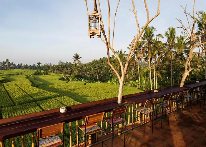 The Sun Of Granary And Resort