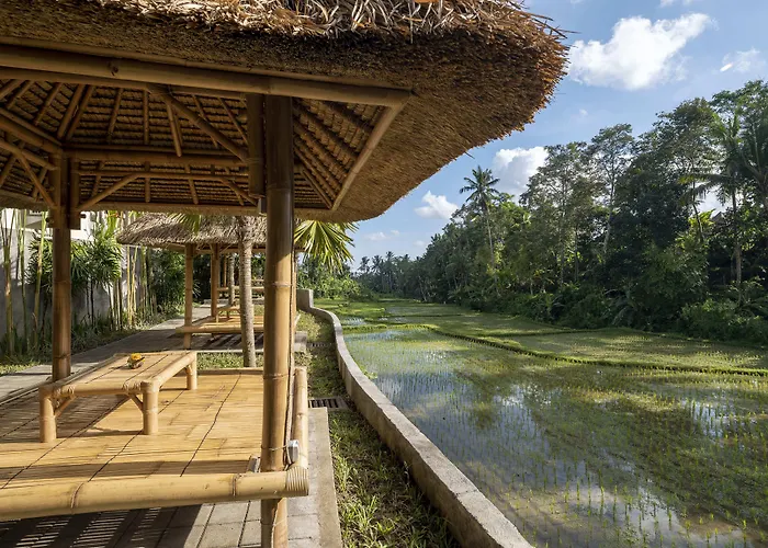 The Sun Of Granary And 4* Ubud